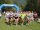 Villadossola
4° Trofeo Collina dello Sport, una giornata da record